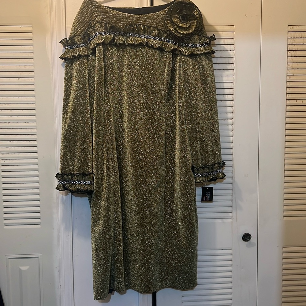 Womens plus size Terramina dressy dress!